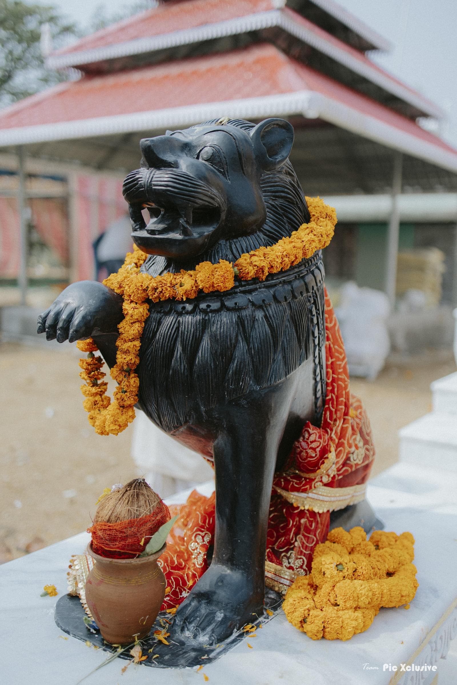 Shri Kuldevi Devsar Maa Mandir Architecture